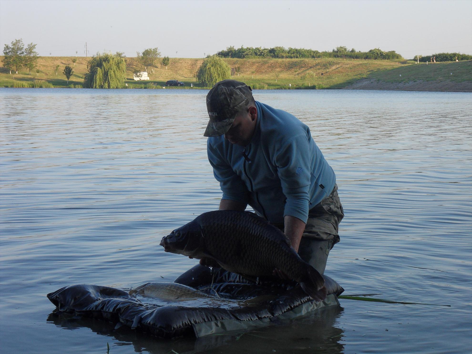 Cetariu 2011 - cetariu2011-112.JPG